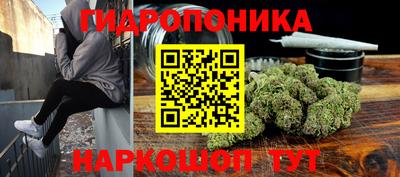 стафф Берёзовский